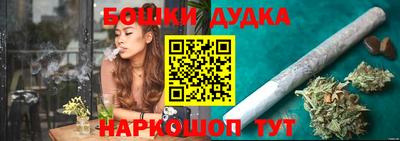 шишки Новокубанск
