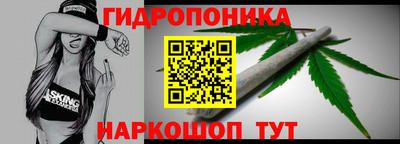 шишки Новокубанск