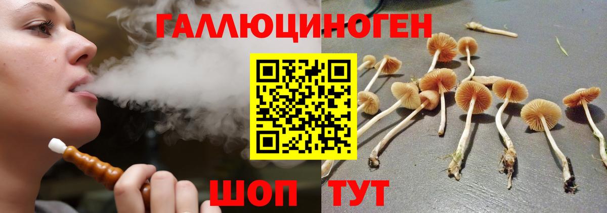 Туапсе  Псилоцибиновые грибы Psilocybine cubensis  Псилоцибиновые грибы прущие грибы  Вход с VPN 