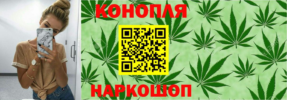 Конопля OG Kush Туапсе